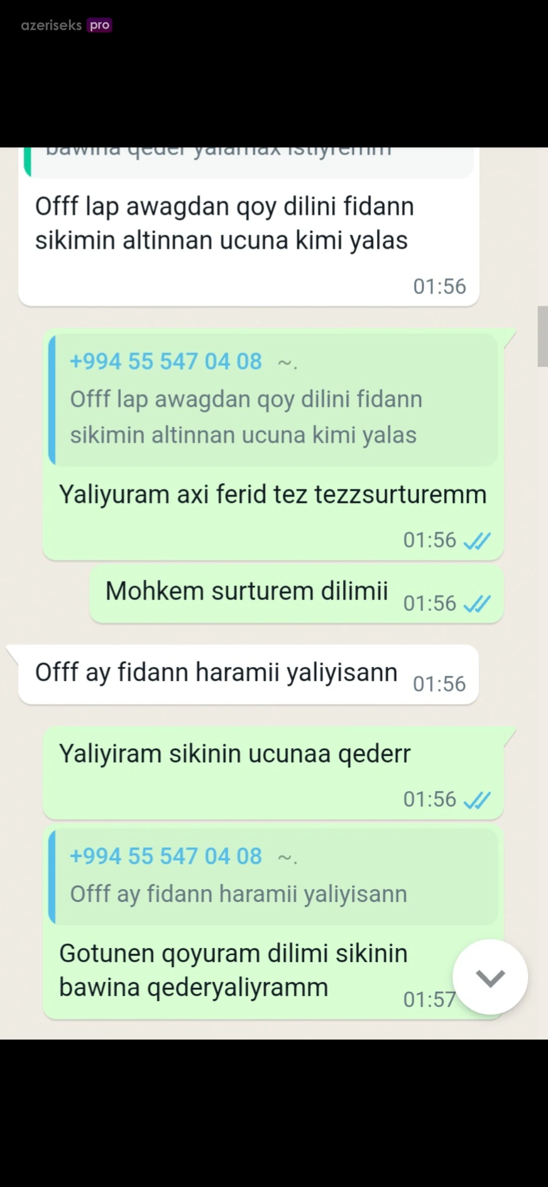 Azeri Seks 2025